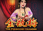 THE FORBIDDEN CHAMBER
